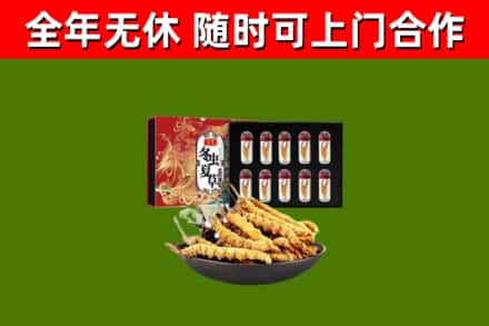 绍兴回收冬虫夏草价格